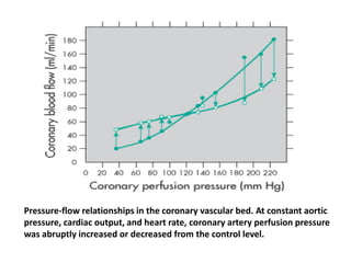 Pressure-flow relationships in the coronary vascular bed. At constant aortic
pressure, cardiac output, and heart rate, coronary artery perfusion pressure
was abruptly increased or decreased from the control level.
 