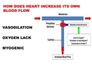 HOW DOES HEART INCREASE ITS OWN
BLOOD FLOW



VASODILATION

OXYGEN LACK

MYOGENIC
 