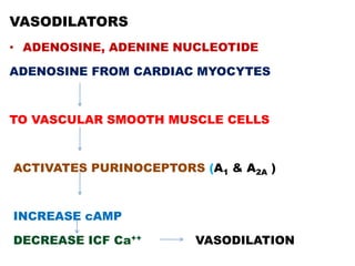 VASODILATORS
• ADENOSINE, ADENINE NUCLEOTIDE

ADENOSINE FROM CARDIAC MYOCYTES



TO VASCULAR SMOOTH MUSCLE CELLS



ACTIVATES PURINOCEPTORS (A1 & A2A )



INCREASE cAMP

DECREASE ICF Ca++       VASODILATION
 