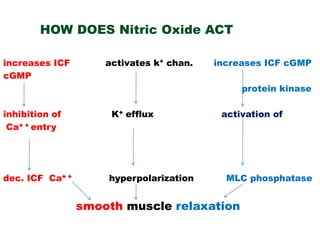 HOW DOES Nitric Oxide ACT

increases ICF        activates k+ chan.   increases ICF cGMP
cGMP
                                               protein kinase

inhibition of         K+ efflux            activation of
 Ca+ + entry




dec. ICF Ca+ +       hyperpolarization      MLC phosphatase


                 smooth muscle relaxation
 