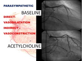 PARASYMPATHETIC



DIRECT-

VASODILATATION

INDIRECT –

VASOCONSTRICTION
 