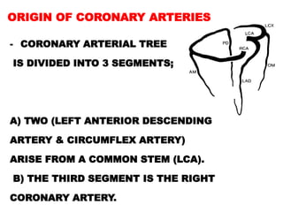ORIGIN OF CORONARY ARTERIES

- CORONARY ARTERIAL TREE

IS DIVIDED INTO 3 SEGMENTS;




A) TWO (LEFT ANTERIOR DESCENDING

ARTERY & CIRCUMFLEX ARTERY)

ARISE FROM A COMMON STEM (LCA).

B) THE THIRD SEGMENT IS THE RIGHT

CORONARY ARTERY.
 