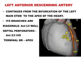 LEFT ANTERIOR DESCENDING ARTERY
• CONTINUES FROM THE BIFURCATION OF THE LEFT
 MAIN STEM TO THE APEX OF THE HEART.

• ITS BRANCHES ARE

DIAGONALS- Ant LV WALL

SEPTAL PERFORATORS -
 Ant 2/3 IVS

TERMINAL BR – APEX
 
