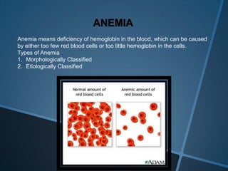 ANEMIA
Anemia means deficiency of hemoglobin in the blood, which can be caused
by either too few red blood cells or too little hemoglobin in the cells.
Types of Anemia
1. Morphologically Classified
2. Etiologically Classified
 