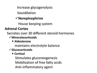 Increase glycogenolysis
Vasodilation
Norepinephrine
House keeping system
Adrenal Cortex
Secretes over 30 different steroid hormones
Mineralocorticoids
 Aldosterone
maintains electrolyte balance
Glucocorticoids
 Cortisol
Stimulates gluconeogenesis
Mobilization of free fatty acids
Anti-inflammatory agent
 