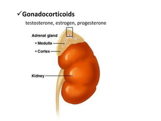 Gonadocorticoids
testosterone, estrogen, progesterone
 