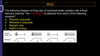 MCQ
The following diagram is firing rate of individual tactile receptor with a fixed
stimulus intensity. The recording C is obtained from which of the following
receptor?
a. Pacinian corpuscle
b. Meissner’s corpuscle
c. Merkel’s disc
d. Ruffini’s ending
 