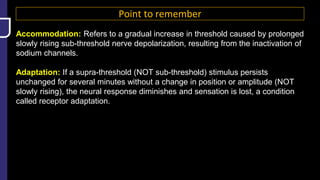 Point to remember
Accommodation: Refers to a gradual increase in threshold caused by prolonged
slowly rising sub-threshold nerve depolarization, resulting from the inactivation of
sodium channels.
Adaptation: If a supra-threshold (NOT sub-threshold) stimulus persists
unchanged for several minutes without a change in position or amplitude (NOT
slowly rising), the neural response diminishes and sensation is lost, a condition
called receptor adaptation.
 