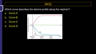 MCQ
Which curve describes the alanine profile along the nephron?
a. Curve A
b. Curve B
c. Curve C
d. Curve D
 