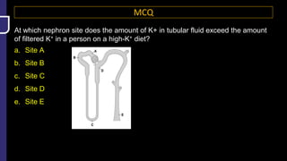 MCQ
At which nephron site does the amount of K+ in tubular fluid exceed the amount
of filtered K+ in a person on a high-K+ diet?
a. Site A
b. Site B
c. Site C
d. Site D
e. Site E
 