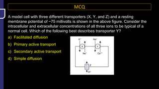 MCQ
A model cell with three different transporters (X, Y, and Z) and a resting
membrane potential of −75 millivolts is shown in the above figure. Consider the
intracellular and extracellular concentrations of all three ions to be typical of a
normal cell. Which of the following best describes transporter Y?
a) Facilitated diffusion
b) Primary active transport
c) Secondary active transport
d) Simple diffusion
 