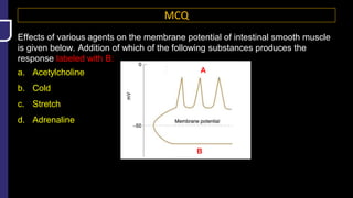 MCQ
Effects of various agents on the membrane potential of intestinal smooth muscle
is given below. Addition of which of the following substances produces the
response labeled with B:
a. Acetylcholine
b. Cold
c. Stretch
d. Adrenaline
B
A
 