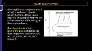 Points to remember
• If epinephrine or norepinephrine is
added: membrane potential
usually becomes larger (more
negative or hyperpolarization), the
spikes decrease in frequency, and
the muscle relaxes.
• If acetylcholine is added:
membrane potential decreases
(less negative or depolarization)
and the spikes become more
frequent.
 
