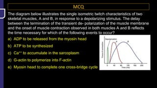 MCQ
The diagram below illustrates the single isometric twitch characteristics of two
skeletal muscles, A and B, in response to a depolarizing stimulus. The delay
between the termination of the transient de- polarization of the muscle membrane
and the onset of muscle contraction observed in both muscles A and B reflects
the time necessary for which of the following events to occur?
a) ADP to be released from the myosin head
b) ATP to be synthesized
c) Ca++ to accumulate in the sarcoplasm
d) G-actin to polymerize into F-actin
e) Myosin head to complete one cross-bridge cycle
 