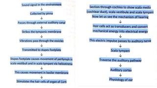 Physiology of Hearing | PPTX