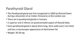 Parathyroid Gland
• The Parathyroid gland was first recognized in 1850 by Richard Owen
during a dissection of an Indian rhinoceros at the London zoo
• There are 4 parathyroid glands in humans
• 2 superior and 2 inferior on posteromedial aspect of thyroid lobes
• Each parathyroid gland is about 6mm long, 3mm wide and 2 mm thick
and has a macroscopic appearance of dark brown fat
• Weight: 30-50 mg
 