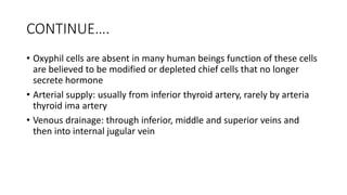 CONTINUE….
• Oxyphil cells are absent in many human beings function of these cells
are believed to be modified or depleted chief cells that no longer
secrete hormone
• Arterial supply: usually from inferior thyroid artery, rarely by arteria
thyroid ima artery
• Venous drainage: through inferior, middle and superior veins and
then into internal jugular vein
 