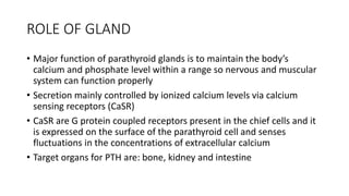 ROLE OF GLAND
• Major function of parathyroid glands is to maintain the body’s
calcium and phosphate level within a range so nervous and muscular
system can function properly
• Secretion mainly controlled by ionized calcium levels via calcium
sensing receptors (CaSR)
• CaSR are G protein coupled receptors present in the chief cells and it
is expressed on the surface of the parathyroid cell and senses
fluctuations in the concentrations of extracellular calcium
• Target organs for PTH are: bone, kidney and intestine
 