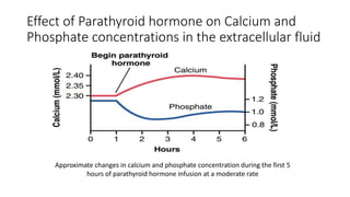Effect of Parathyroid hormone on Calcium and
Phosphate concentrations in the extracellular fluid
Approximate changes in calcium and phosphate concentration during the first 5
hours of parathyroid hormone infusion at a moderate rate
 