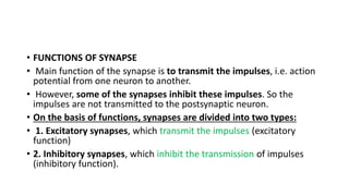 • FUNCTIONS OF SYNAPSE
• Main function of the synapse is to transmit the impulses, i.e. action
potential from one neuron to another.
• However, some of the synapses inhibit these impulses. So the
impulses are not transmitted to the postsynaptic neuron.
• On the basis of functions, synapses are divided into two types:
• 1. Excitatory synapses, which transmit the impulses (excitatory
function)
• 2. Inhibitory synapses, which inhibit the transmission of impulses
(inhibitory function).
 