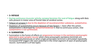 • 3- FATIGUE
• During continuous muscular activity, synapse becomes the seat of fatigue along with Betz
cells present in motor area of frontal lobe of cerebral cortex.
• Fatigue at synapse is due to the depletion of neurotransmitter substance, acetylcholine.
• Depletion of acetylcholine occurs because of two factors: i. Soon after the action,
acetylcholine is destroyed by acetylcholinesterase ii. Due to continuous action, new
acetylcholine is not synthesized.
• 4- SUMMATION
• Summation is the fusion of effects or progressive increase in the excitatory postsynaptic
potential in post synaptic neuron when many presynaptic excitatory terminals are
stimulated simultaneously or when single presynaptic terminal is stimulated repeatedly.
Increased EPSP triggers the axon potential in the initial segment of axon of postsynaptic
neuron. Summation is of two types:
 