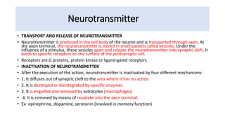 Neurotransmitter
• TRANSPORT AND RELEASE OF NEUROTRANSMITTER
• Neurotransmitter is produced in the cell body of the neuron and is transported through axon. At
the axon terminal, the neurotransmitter is stored in small packets called vesicles. Under the
influence of a stimulus, these vesicles open and release the neurotransmitter into synaptic cleft. It
binds to specific receptors on the surface of the postsynaptic cell.
• Receptors are G proteins, protein kinase or ligand-gated receptors.
• INACTIVATION OF NEUROTRANSMITTER
• After the execution of the action, neurotransmitter is inactivated by four different mechanisms:
• 1. It diffuses out of synaptic cleft to the area where it has no action
• 2. It is destroyed or disintegrated by specific enzymes
• 3. It is engulfed and removed by astrocytes (macrophages)
• 4. It is removed by means of reuptake into the axon terminal.
• Ex- epinephrine, dopamine, serotonin (involved in memory function)
 