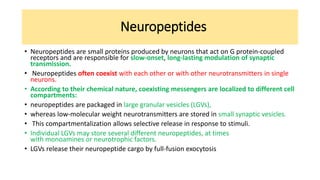 Neuropeptides
• Neuropeptides are small proteins produced by neurons that act on G protein-coupled
receptors and are responsible for slow-onset, long-lasting modulation of synaptic
transmission.
• Neuropeptides often coexist with each other or with other neurotransmitters in single
neurons.
• According to their chemical nature, coexisting messengers are localized to different cell
compartments:
• neuropeptides are packaged in large granular vesicles (LGVs),
• whereas low-molecular weight neurotransmitters are stored in small synaptic vesicles.
• This compartmentalization allows selective release in response to stimuli.
• Individual LGVs may store several different neuropeptides, at times
with monoamines or neurotrophic factors.
• LGVs release their neuropeptide cargo by full-fusion exocytosis
 