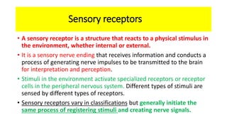 Sensory receptors
• A sensory receptor is a structure that reacts to a physical stimulus in
the environment, whether internal or external.
• It is a sensory nerve ending that receives information and conducts a
process of generating nerve impulses to be transmitted to the brain
for interpretation and perception.
• Stimuli in the environment activate specialized receptors or receptor
cells in the peripheral nervous system. Different types of stimuli are
sensed by different types of receptors.
• Sensory receptors vary in classifications but generally initiate the
same process of registering stimuli and creating nerve signals.
 