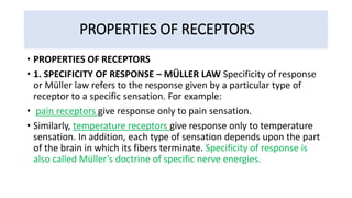 PROPERTIES OF RECEPTORS
• PROPERTIES OF RECEPTORS
• 1. SPECIFICITY OF RESPONSE – MÜLLER LAW Specificity of response
or Müller law refers to the response given by a particular type of
receptor to a specific sensation. For example:
• pain receptors give response only to pain sensation.
• Similarly, temperature receptors give response only to temperature
sensation. In addition, each type of sensation depends upon the part
of the brain in which its fibers terminate. Specificity of response is
also called Müller’s doctrine of specific nerve energies.
 