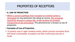 PROPERTIES OF RECEPTORS
• 6. LAW OF PROJECTION
• When a sensory pathway from receptor to cerebral cortex is
stimulated on any particular site along its course, the sensation
caused by stimulus is always felt at the location of receptor,
irrespective of site stimulated. This phenomenon is known as law of
projection.
• Examples of Law of Projection
• If sometic area in right cerebral cortex, which receives sensation from
left hand is stimulated, sensations are felt in left hand and not in
head.
 