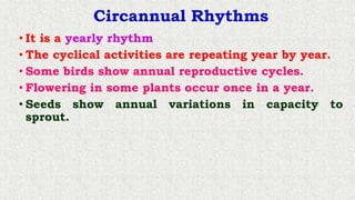 Physiology - Chronobiology.pptx
