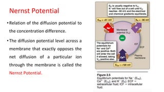 Nernst Potential
•Relation of the diffusion potential to
the concentration difference.
•The diffusion potential level across a
membrane that exactly opposes the
net diffusion of a particular ion
through the membrane is called the
Nernst Potential.
 
