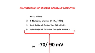 CONTRIBUTORS OF RESTING MEMBRANE POTENTIAL
1. Na-K ATPase
2. K-Na leaking channels (PK
>PNa
100X)
3. Contribution of Sodium Ions (61 milivolt)
4. Contribution of Potassium Ions (-94 milivolt )
~
-70/-90 mV
 