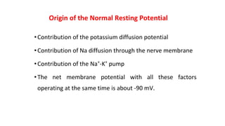 Origin of the Normal Resting Potential
•Contribution of the potassium diffusion potential
•Contribution of Na diffusion through the nerve membrane
•Contribution of the Na+
-K+
pump
•The net membrane potential with all these factors
operating at the same time is about -90 mV.
 