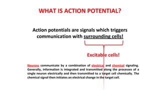 Action potentials are signals which triggers
communication with surrounding cells!
WHAT IS ACTION POTENTIAL?
Excitable cells!
Neurons communicate by a combination of electrical and chemical signaling.
Generally, information is integrated and transmitted along the processes of a
single neuron electrically and then transmitted to a target cell chemically. The
chemical signal then initiates an electrical change in the target cell.
 
