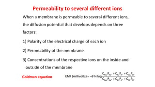 Permeability to several different ions
When a membrane is permeable to several different ions,
the diffusion potential that develops depends on three
factors:
1) Polarity of the electrical charge of each ion
2) Permeability of the membrane
3) Concentrations of the respective ions on the inside and
outside of the membrane
Goldman equation
 