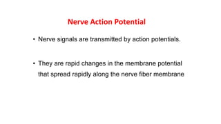Nerve Action Potential
• Nerve signals are transmitted by action potentials.
• They are rapid changes in the membrane potential
that spread rapidly along the nerve fiber membrane
 