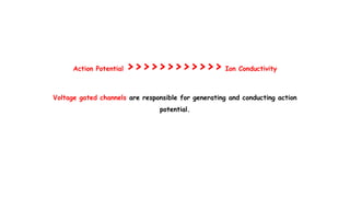 Action Potential >>>>>>>>>>>> Ion Conductivity
Voltage gated channels are responsible for generating and conducting action
potential.
 