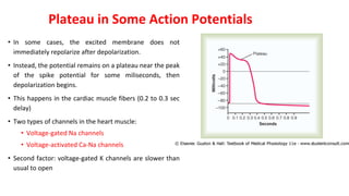 Plateau in Some Action Potentials
• In some cases, the excited membrane does not
immediately repolarize after depolarization.
• Instead, the potential remains on a plateau near the peak
of the spike potential for some miliseconds, then
depolarization begins.
• This happens in the cardiac muscle fibers (0.2 to 0.3 sec
delay)
• Two types of channels in the heart muscle:
• Voltage-gated Na channels
• Voltage-activated Ca-Na channels
• Second factor: voltage-gated K channels are slower than
usual to open
 