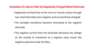 Excitation of a Nerve Fiber by Negatively Charged Metal Electrode
• Application of electricity to the nerve or muscle surface through
two small electrodes (one negative and one positively charged)
• The excitable membrane becomes stimulated at the negative
electrode
• The negative current from the electrode decreases the voltage
on the outside of membrane to a negative value nearer the
negative potential inside the fiber.
 