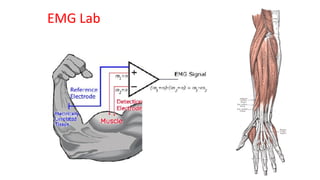 EMG Lab
 