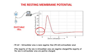 EXCITABLE
CELL
-70 mV : Intracellular area is more negative than (70 mV) extracellular area!
(The majority of the ions in intracellular area are negative charged/the majority of
the ions in extracellular area are positive charged)
THE RESTING MEMBRANE POTENTIAL
 