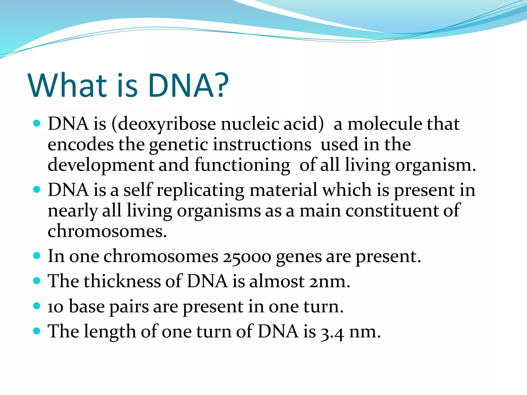What is DNA?
 DNA is (deoxyribose nucleic acid) a molecule that
encodes the genetic instructions used in the
development and functioning of all living organism.
 DNA is a self replicating material which is present in
nearly all living organisms as a main constituent of
chromosomes.
 In one chromosomes 25000 genes are present.
 The thickness of DNA is almost 2nm.
 10 base pairs are present in one turn.
 The length of one turn of DNA is 3.4 nm.
 