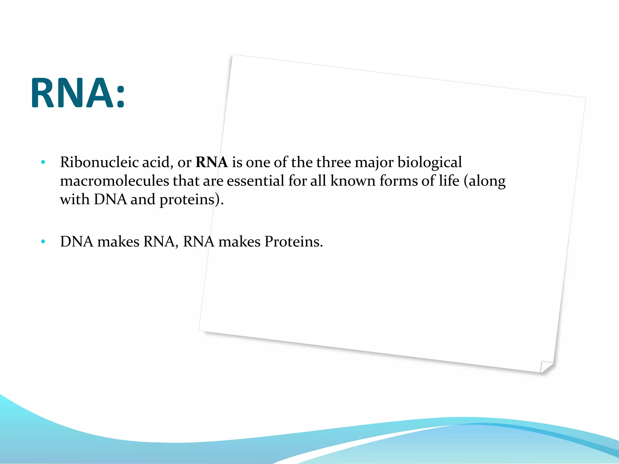 RNA:
• Ribonucleic acid, or RNA is one of the three major biological
macromolecules that are essential for all known forms of life (along
with DNA and proteins).
• DNA makes RNA, RNA makes Proteins.
 
