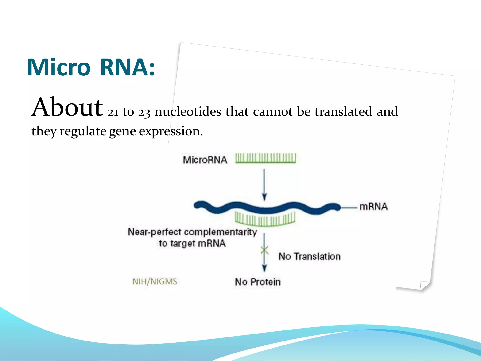 Micro RNA:
About 21 to 23 nucleotides that cannot be translated and
they regulate gene expression.
 