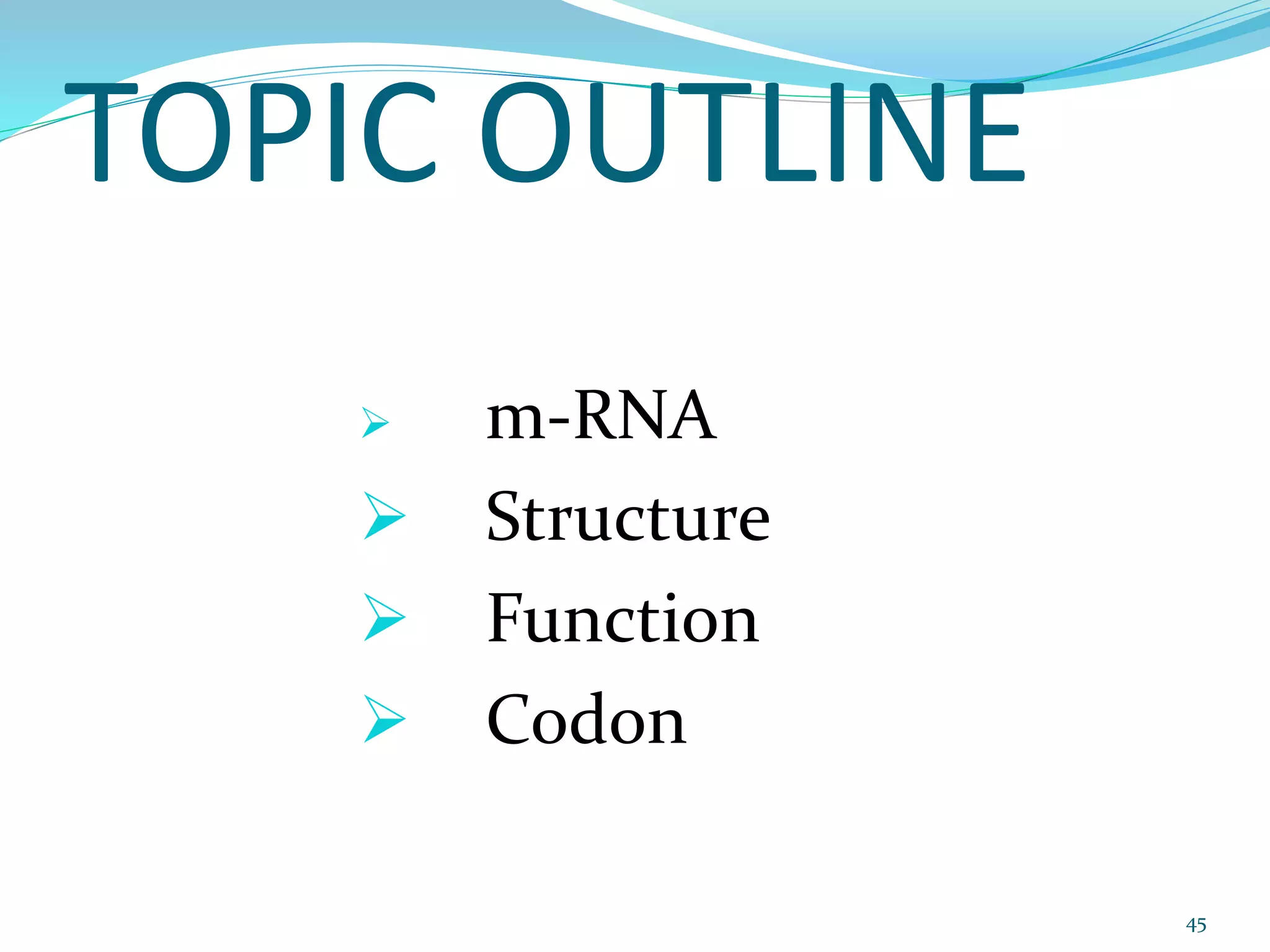 TOPIC OUTLINE
 m-RNA
 Structure
 Function
 Codon
45
 