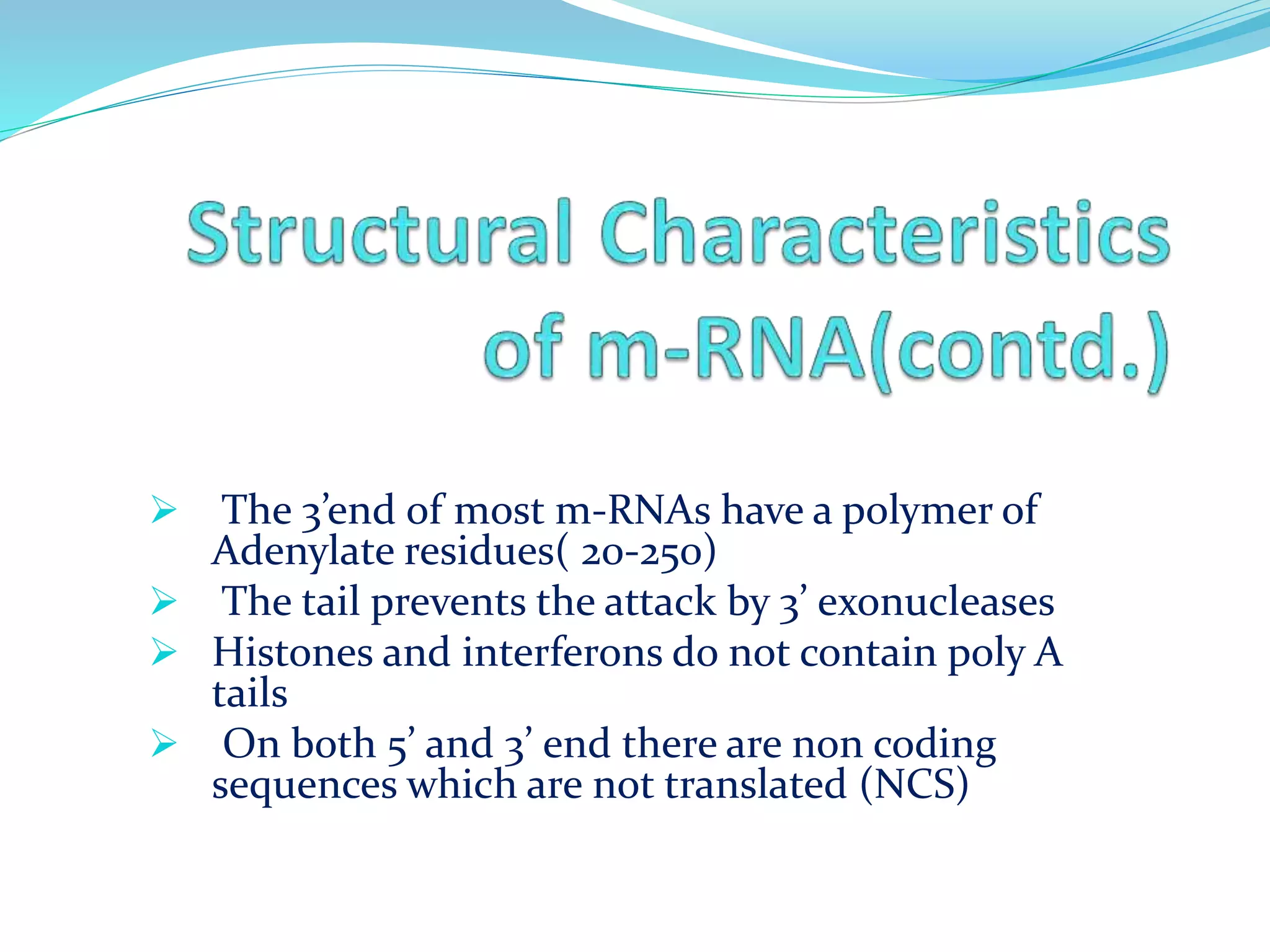  The 3’end of most m-RNAs have a polymer of
Adenylate residues( 20-250)
 The tail prevents the attack by 3’ exonucleases
 Histones and interferons do not contain poly A
tails
 On both 5’ and 3’ end there are non coding
sequences which are not translated (NCS)
 