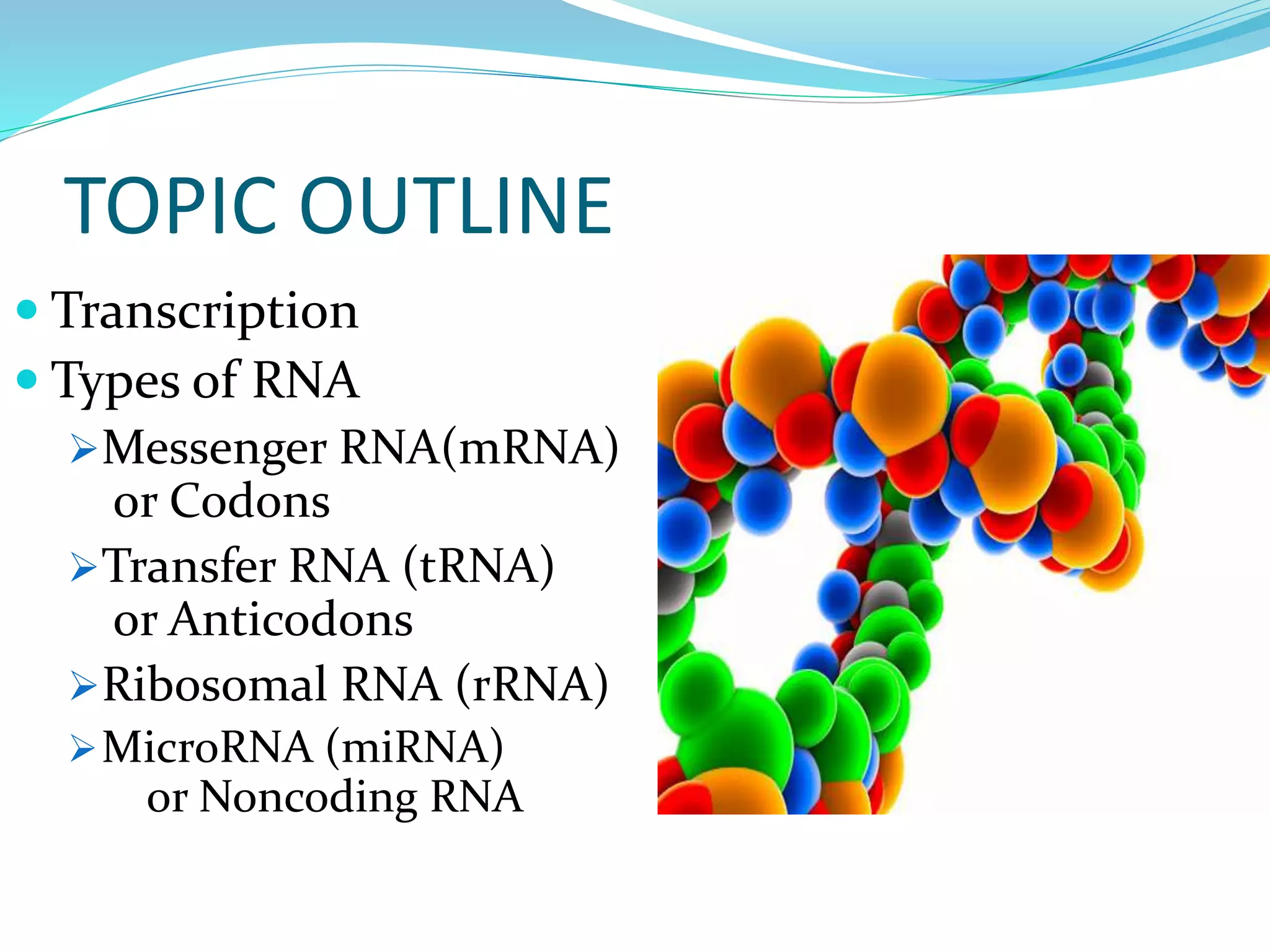 TOPIC OUTLINE
 Transcription
 Types of RNA
Messenger RNA(mRNA)
or Codons
Transfer RNA (tRNA)
or Anticodons
Ribosomal RNA (rRNA)
MicroRNA (miRNA)
or Noncoding RNA
 