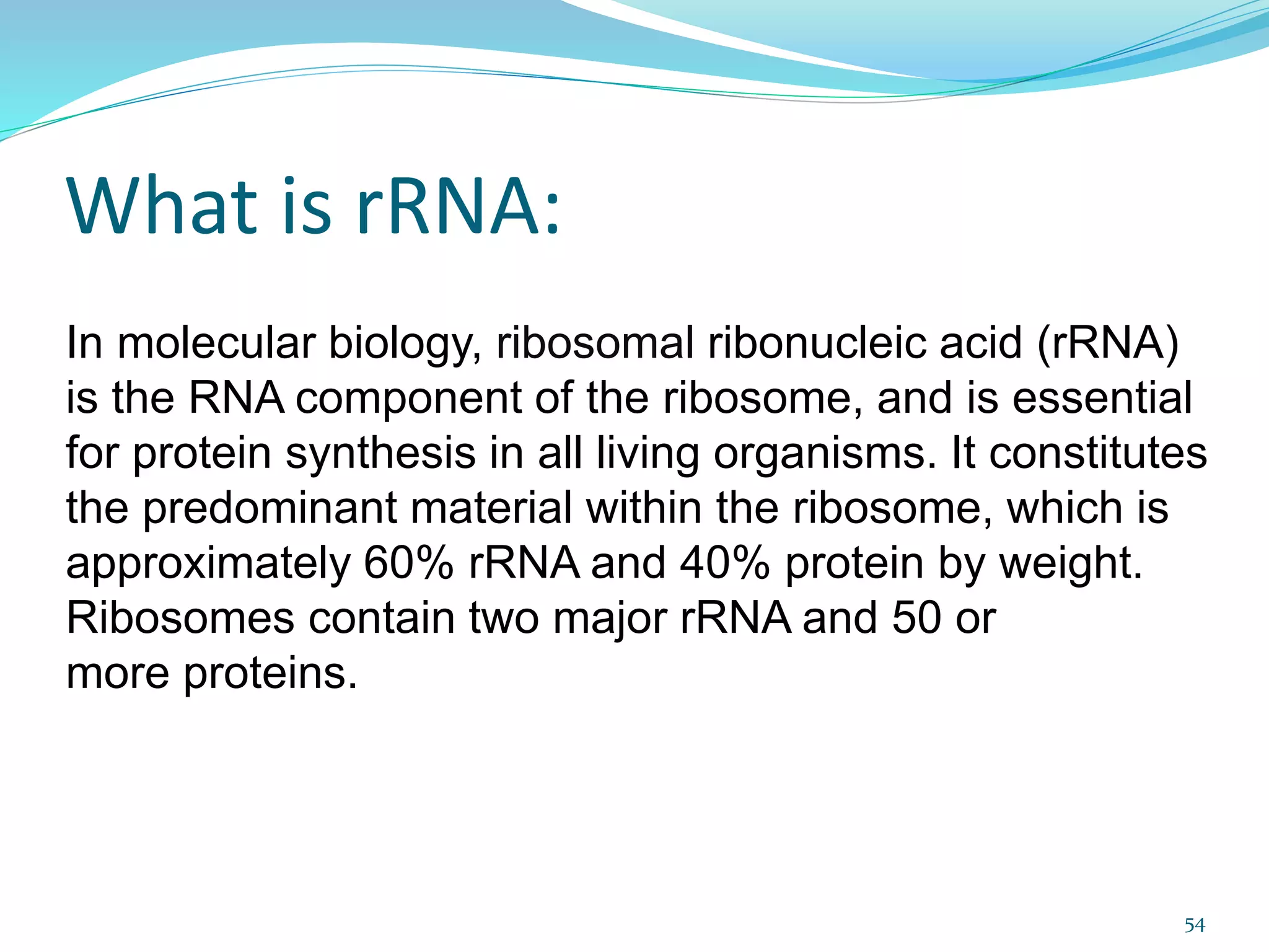 What is rRNA:
In molecular biology, ribosomal ribonucleic acid (rRNA)
is the RNA component of the ribosome, and is essential
for protein synthesis in all living organisms. It constitutes
the predominant material within the ribosome, which is
approximately 60% rRNA and 40% protein by weight.
Ribosomes contain two major rRNA and 50 or
more proteins.
54
 