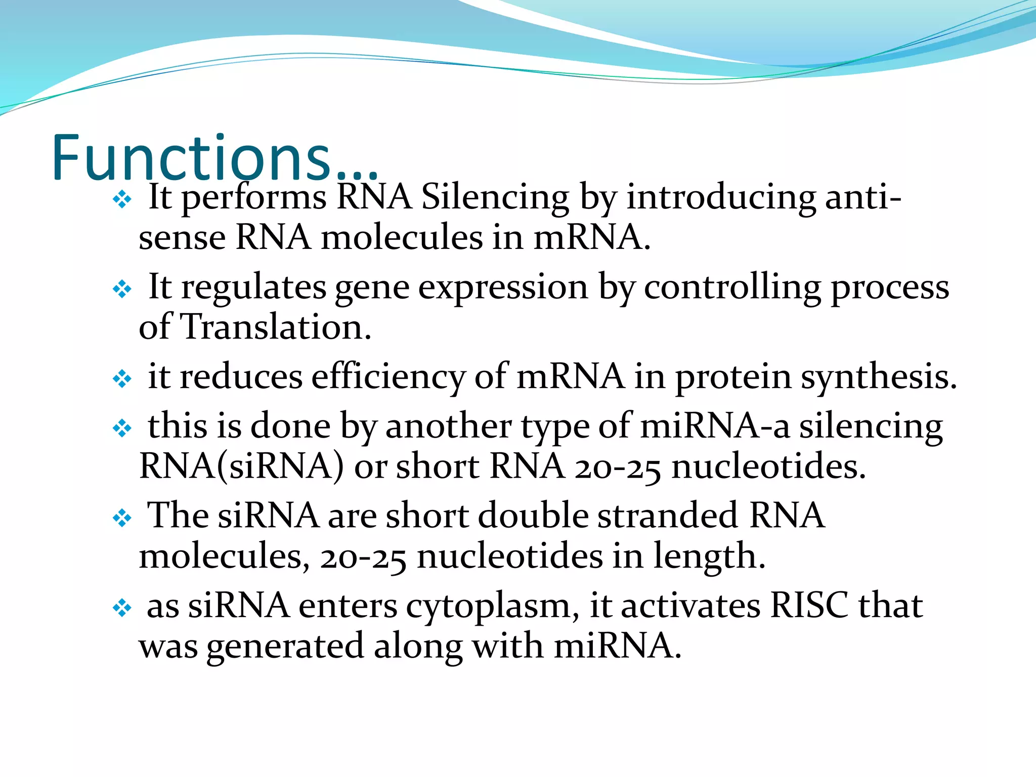 Functions… It performs RNA Silencing by introducing anti-
sense RNA molecules in mRNA.
 It regulates gene expression by controlling process
of Translation.
 it reduces efficiency of mRNA in protein synthesis.
 this is done by another type of miRNA-a silencing
RNA(siRNA) or short RNA 20-25 nucleotides.
 The siRNA are short double stranded RNA
molecules, 20-25 nucleotides in length.
 as siRNA enters cytoplasm, it activates RISC that
was generated along with miRNA.
 